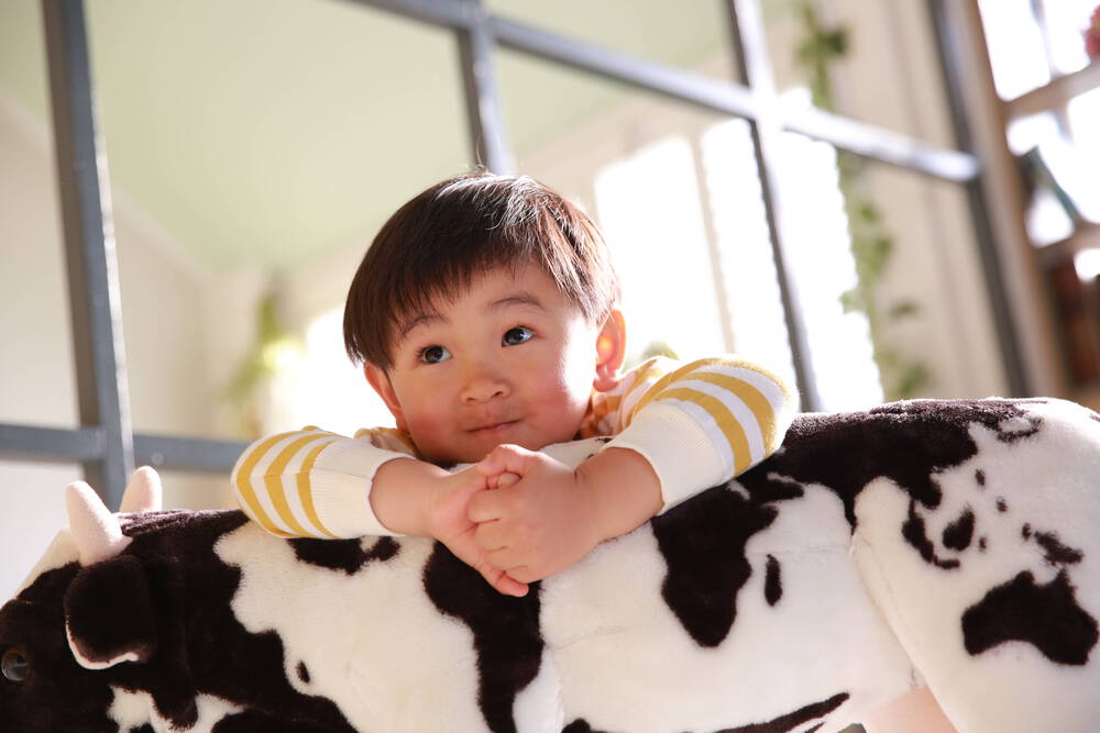 大好きな可愛い子が今年も可愛かった話 高川夏子 子供から家族まで自然でおしゃれに残す人生の写真館 ライフスタジオ