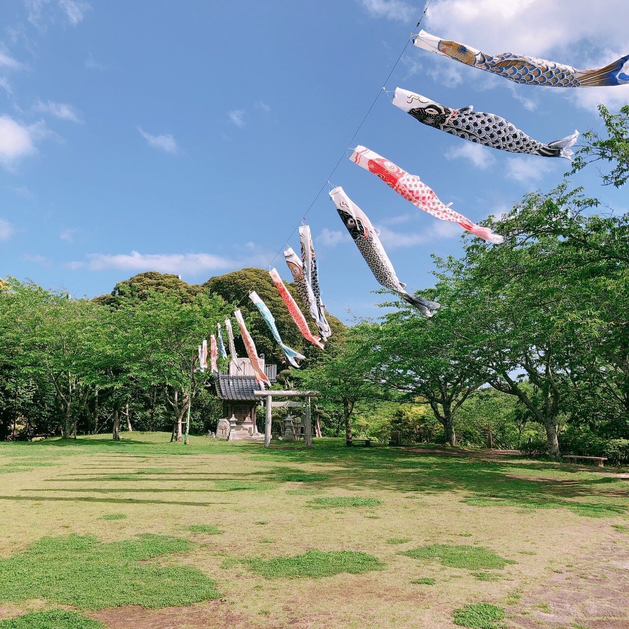 関東its健保 トスラブ館山ルアーナは家族で絶対に行くべき 荒正明 子供から家族まで自然でおしゃれに残す人生の写真館 ライフスタジオ