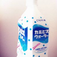 ブログ写真