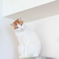 ブログ写真
