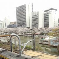 ブログ写真