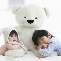 ブログ写真