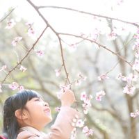 ブログ写真