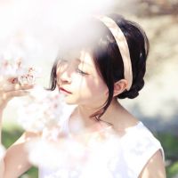 ブログ写真