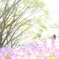 ブログ写真