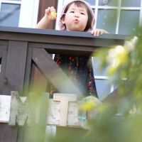 ブログ写真