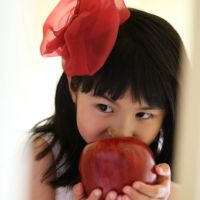 ブログ写真
