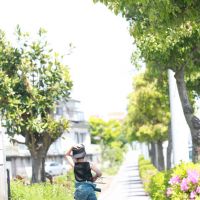 ブログ写真