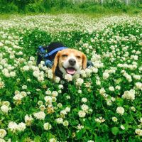ブログ写真