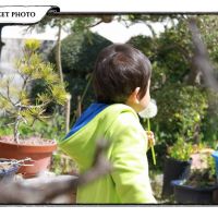 ブログ写真