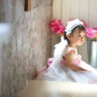 ブログ写真