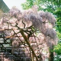 ブログ写真