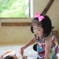ブログ写真