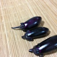 ブログ写真