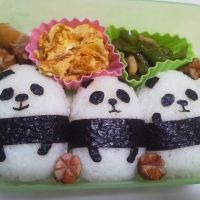 ブログ写真