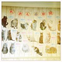 ブログ写真