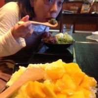 ブログ写真
