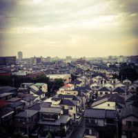 ブログ写真