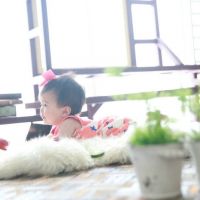 ブログ写真