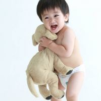 ブログ写真