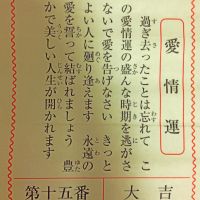 ブログ写真