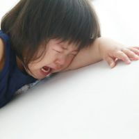 ブログ写真