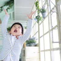 ブログ写真