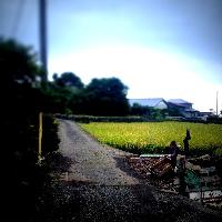 ブログ写真