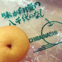 ブログ写真