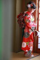 ブログ写真