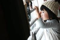 ブログ写真