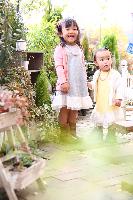 ブログ写真
