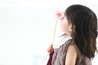ブログ写真