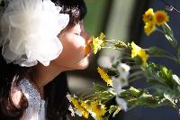 ブログ写真