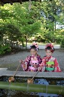 ブログ写真