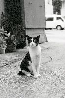 ブログ写真
