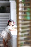ブログ写真