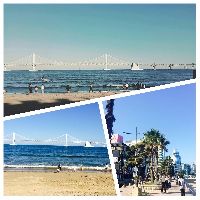 ブログ写真