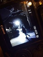 ブログ写真