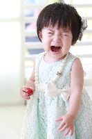 ブログ写真