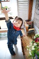 ブログ写真