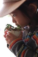ブログ写真