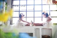 ブログ写真