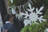 ブログ写真