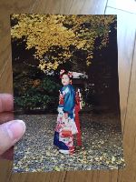ブログ写真
