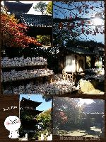 ブログ写真