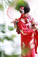 ブログ写真
