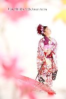 ブログ写真