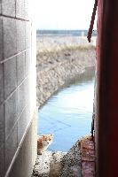 ブログ写真