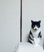 ブログ写真